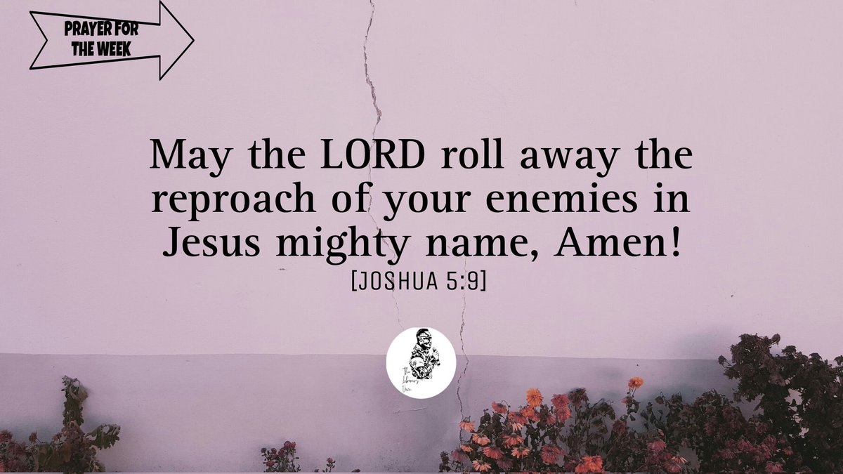 mylesaddy7's tweet photo. #Yaweh #Jesus #HolySpirit #anewdawn #PFTW #peayerfortheweek #thelaborer'svoice https://t.co/uRfzSninNG
