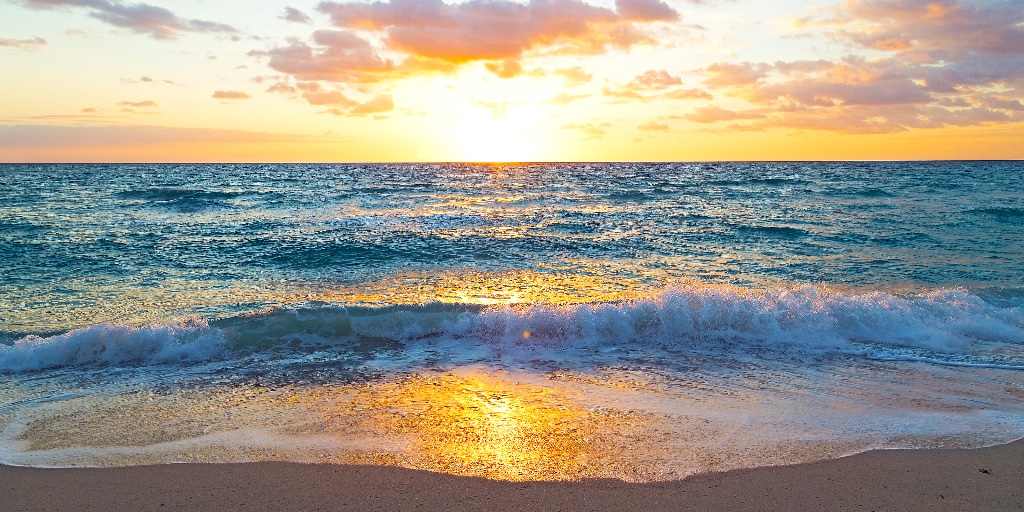 “For most of history, man has had to fight nature to survive; in this century he is beginning to realize that, in order to survive, he must protect it.” – Jacques-Yves Cousteau

Happy Earth Day! 🌎🌊🌴
#EarthDay #Sustainability #GoGreen