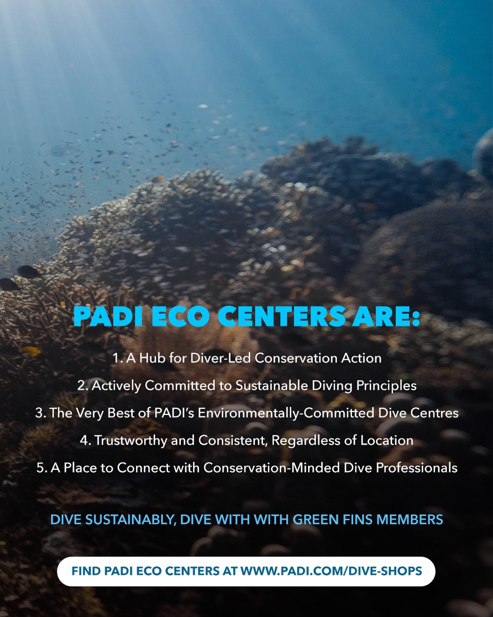 This Earth Day, let's celebrate the incredible @PADI Eco Centers around the world! 🌍🌊

By choosing to dive with #PADIEcoCenters, you're supporting businesses that put the planet first. Dive sustainably, dive with #GreenFins Members.