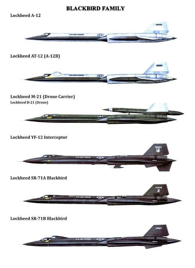 Meet the Blackbird family. All of these airplanes were designed by Kelly Johnson and created by Lockheed’s Skunk Works.￼😎 ￼ Linda Sheffield