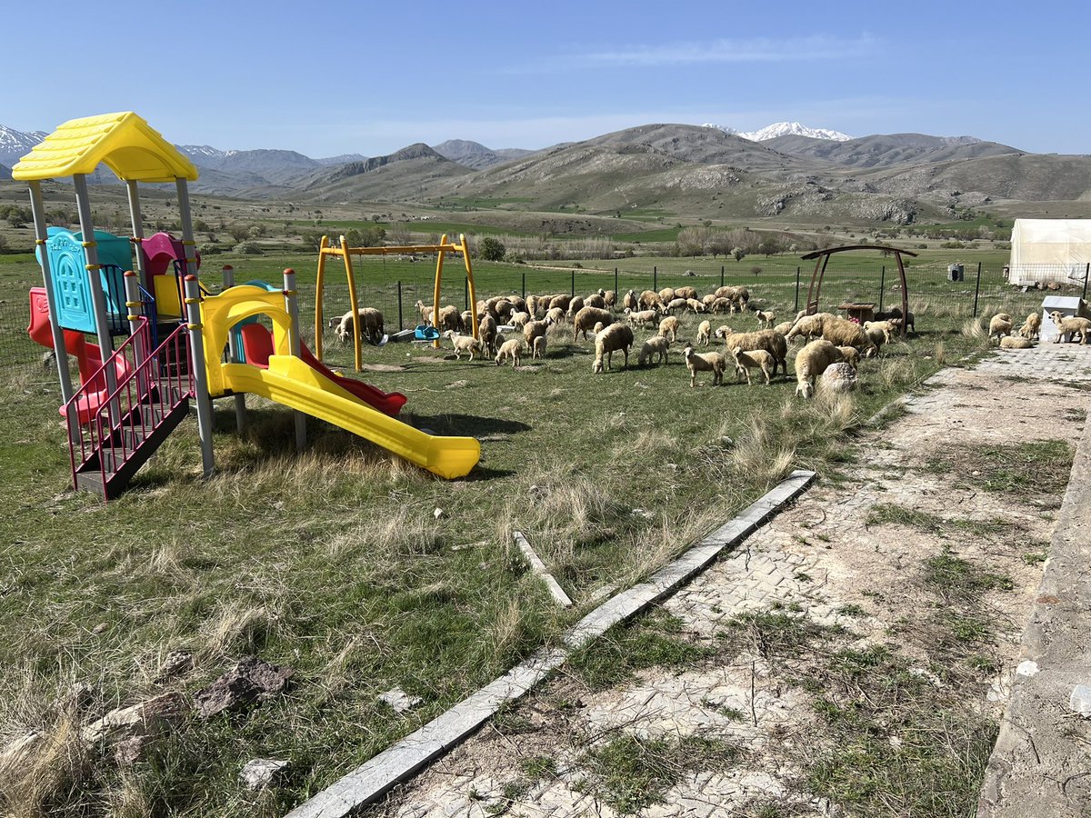 Analar KUZULARINI parka getirmiş😇