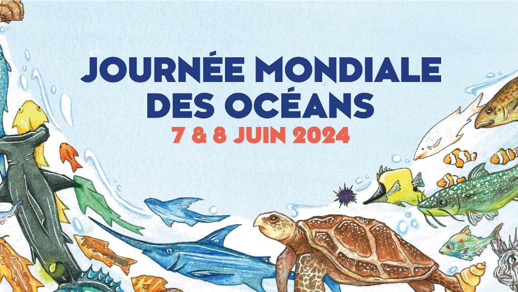 Passe par Liège et l'@UniversiteLiege , on y fête... la Journée Mondiale des Océans 🥳🐙🦑🪼🦞🦀🦐🦪🐠🐟🐡🐬🦈🦭🐳🐋
#WorldOceansDay #JournéeMondialeDesOceans 
@WorldOceansDay @UNOceanDecade 
news.uliege.be/cms/c_19601254…