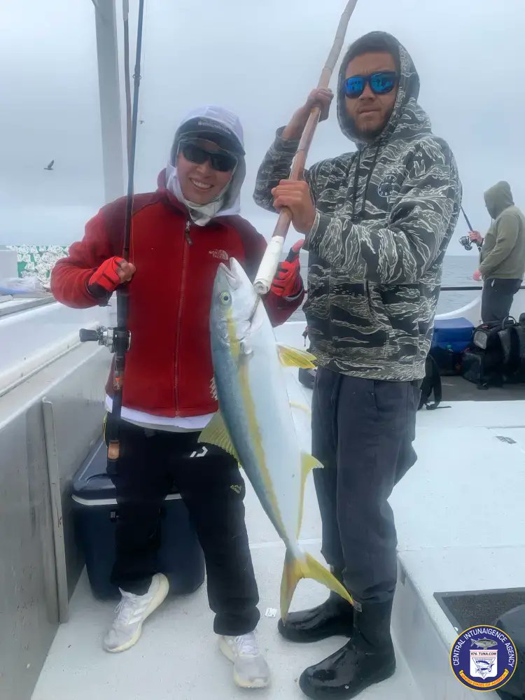 Pursuit First Yellow of the Year Mon Apr 22, 2024 976-tuna.com/posts/234724 #pursuit #sanpedro22ndstreetsportfishing #yellowtail #fish #fishing #fishingtrip #oceanfishing #socalfishing #fishingtrip #goodtimes #livebait #saltlife #saltwater #tasty #thetugisthedrug