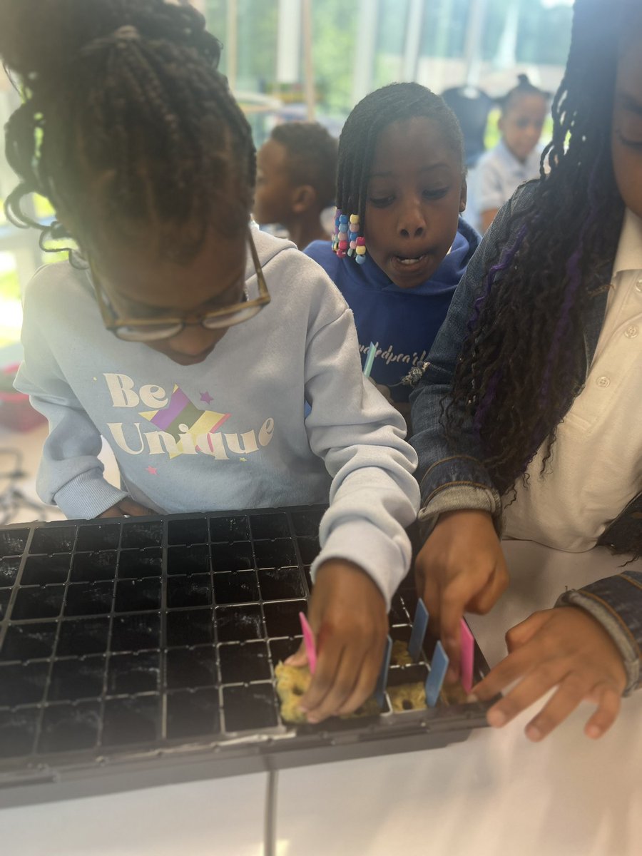 🌱🌍 Our Garden Club rocked Earth Day with an awesome in-house field trip courtesy of the lovely folks at Produce'd! 🌿 We planted various veggies using rockwool cubes. Can't wait to see our little plants thrive over the next few weeks! 🥦🍅 #EarthDay #GardenClub #GreenThumbs