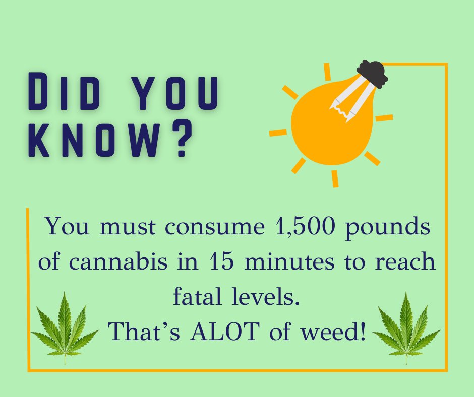Wow! That would be ALOT of weed!
#didyouknow #1500lbs #wow #flowerpower #reefermadness #gethigh #kush #medicalmarijuana #coloradogrown #coloradosprings #trichomehealthconsultants #thcmed