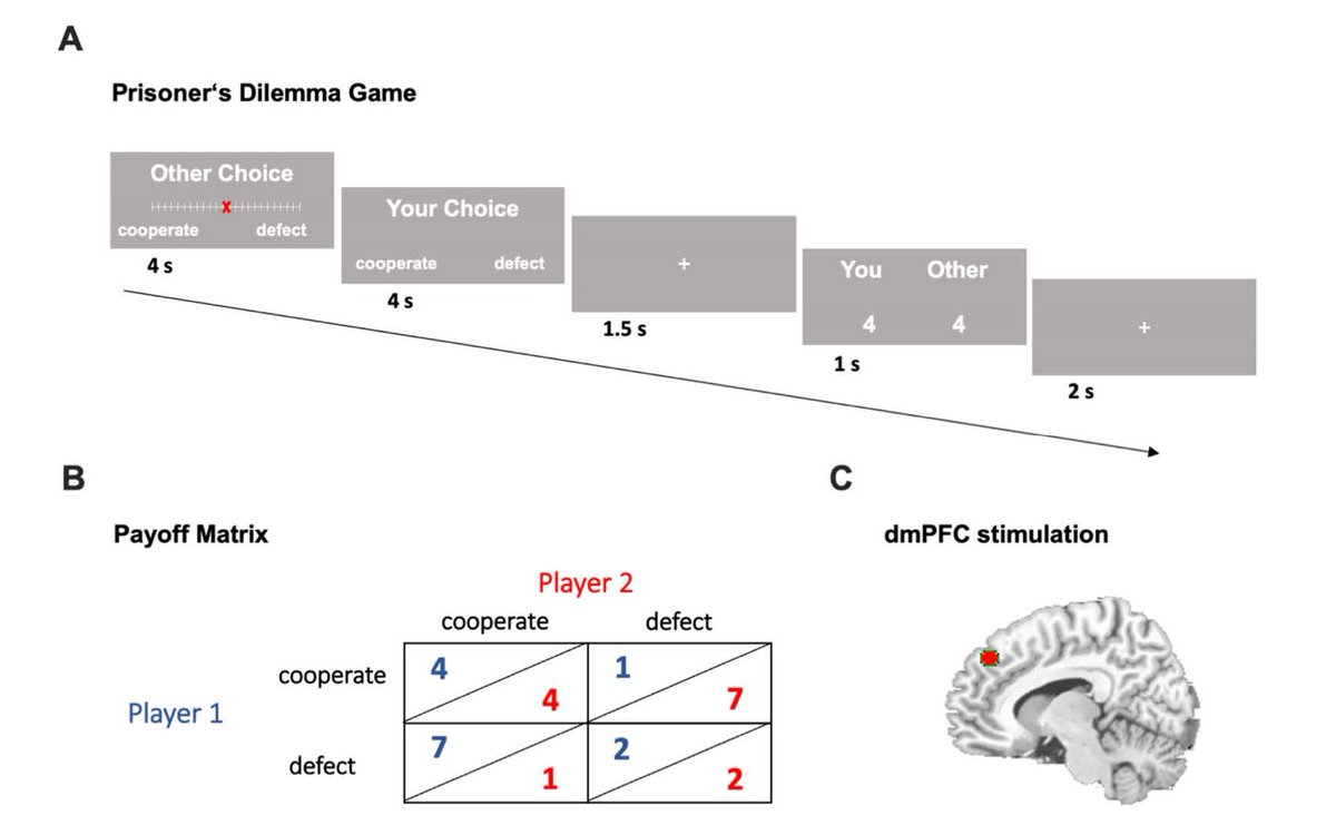 New in #JNeurosci: Christian et al. @LMU_Muenchen use brain imaging & artificial brain stimulation techniques to identify a human brain region involved in updating our beliefs about others’ cooperativeness. jneurosci.org/lookup/DOI/10.…