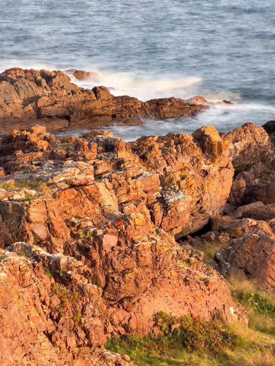 “Tus raíces más profundas están en la naturaleza. No importa quién seas, dónde vivas o qué tipo de vida lleves, permaneces irrevocablemente vinculado con el resto de la creación” #DiaDeLaTierra #DiaInternacionaldelaMadreTierra #EarthDay @La_Pedrera @PuntadelEsteS @MeteorologiaUy