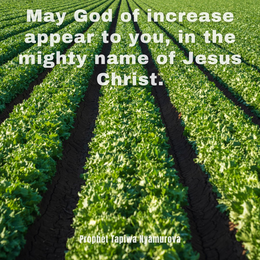 ChristGloryFam1's tweet photo. May God of increase appear to you, in the mighty name of Jesus Christ - Prophet Tapiwa Nyamurova
#DivineIncrease #PropheticBlessings #ChristGloryFamily https://t.co/sJg0hro0uI