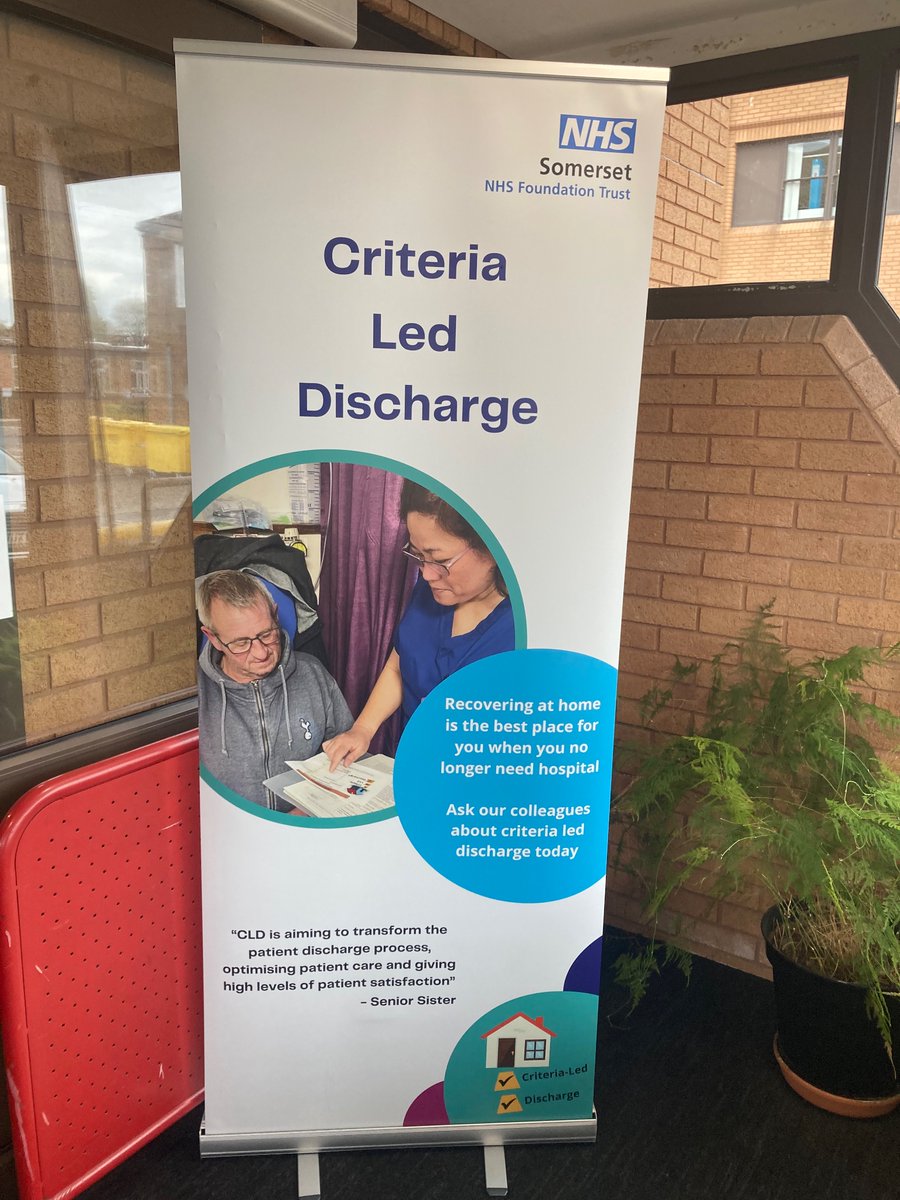 jacqueline phillips (@phillipsjackee) on Twitter photo 