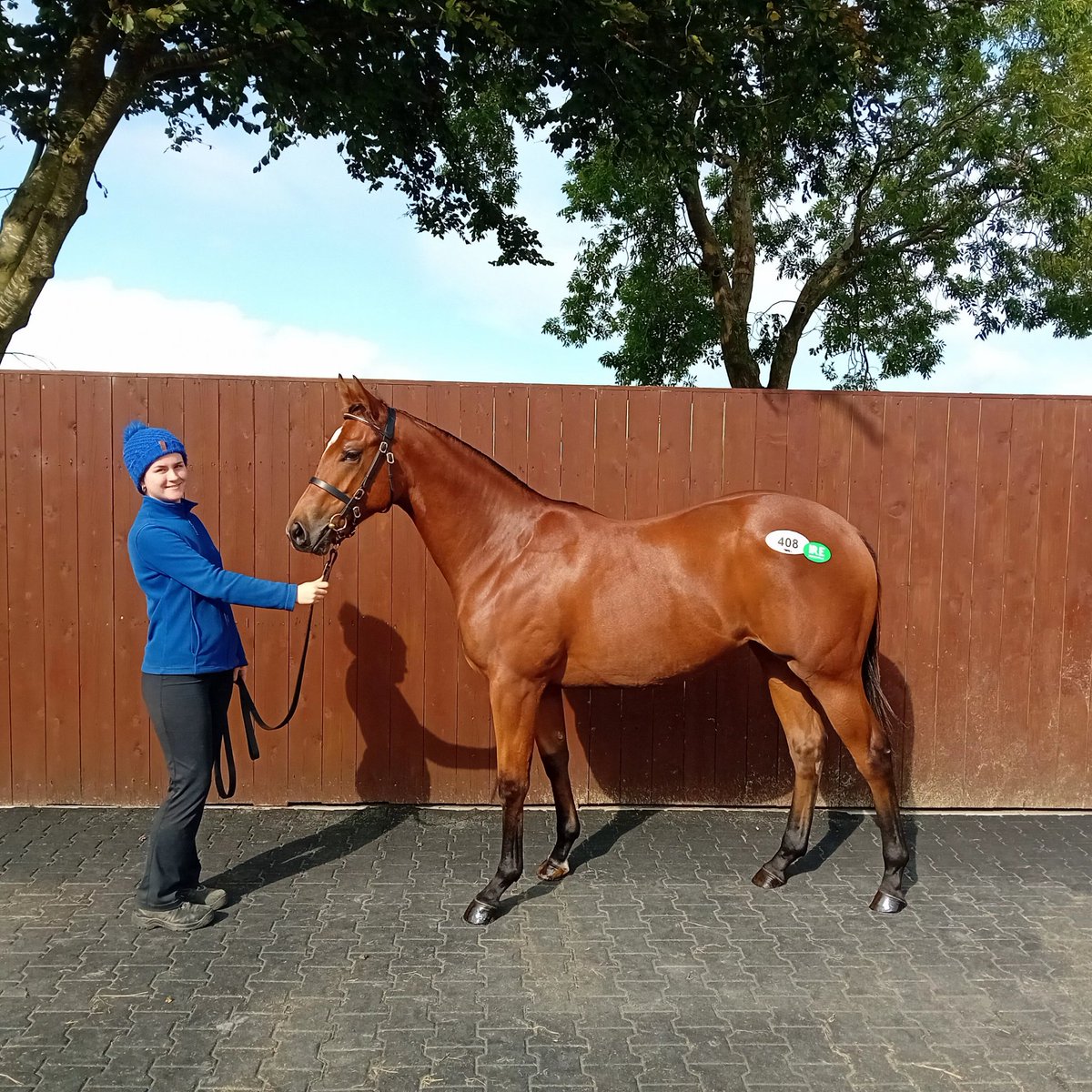 'Kaadi' makes it 5 winners from 5 runners for RUBY GIRL for @karl_burke and connections 👏 Prepped by Ballygowan for @Tattersalls_ie Next Stop - 'Happy Together' at the Group1 FWD QE11 Cup on Sunday🤞 @HKJC_Racing