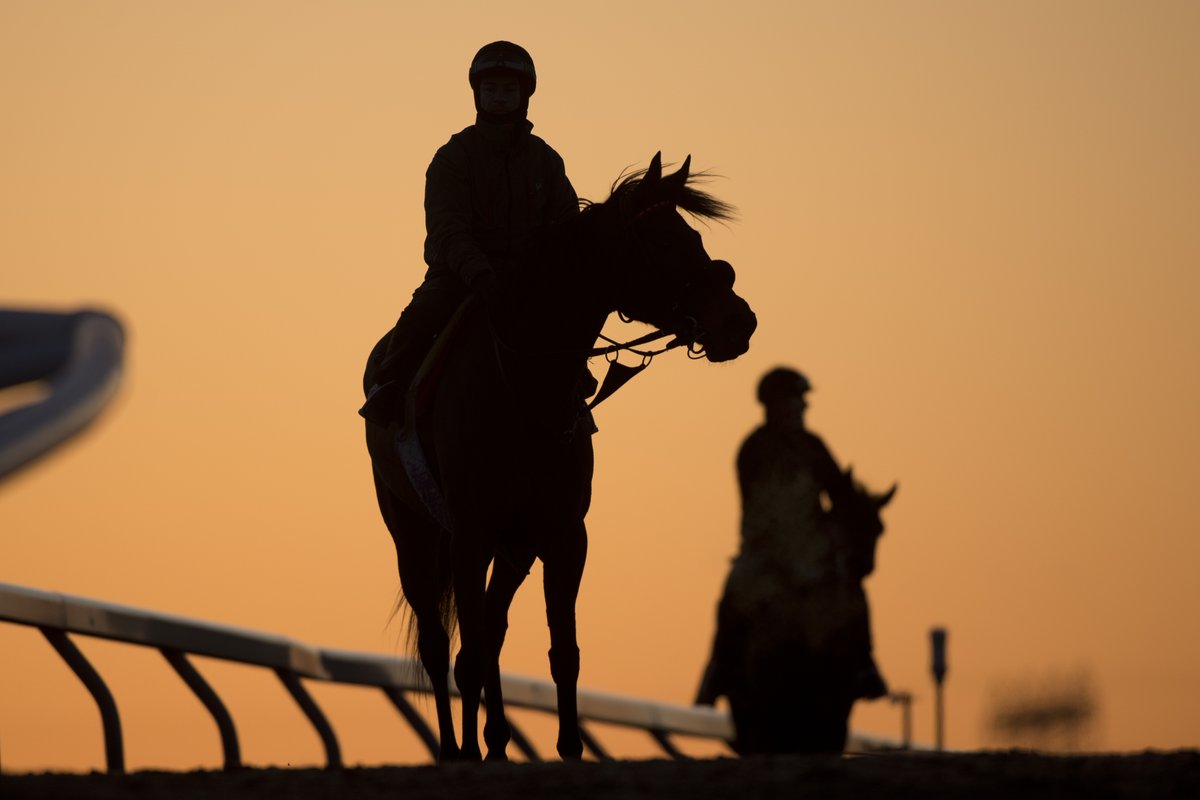 Woodbine Racetrack tweet media
