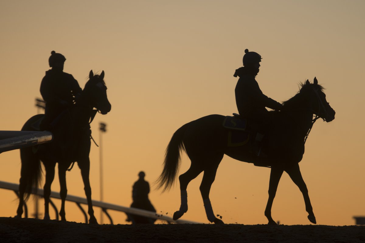 Woodbine Racetrack tweet media