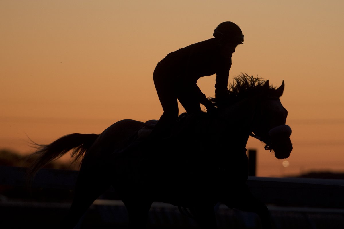 Woodbine Racetrack tweet media