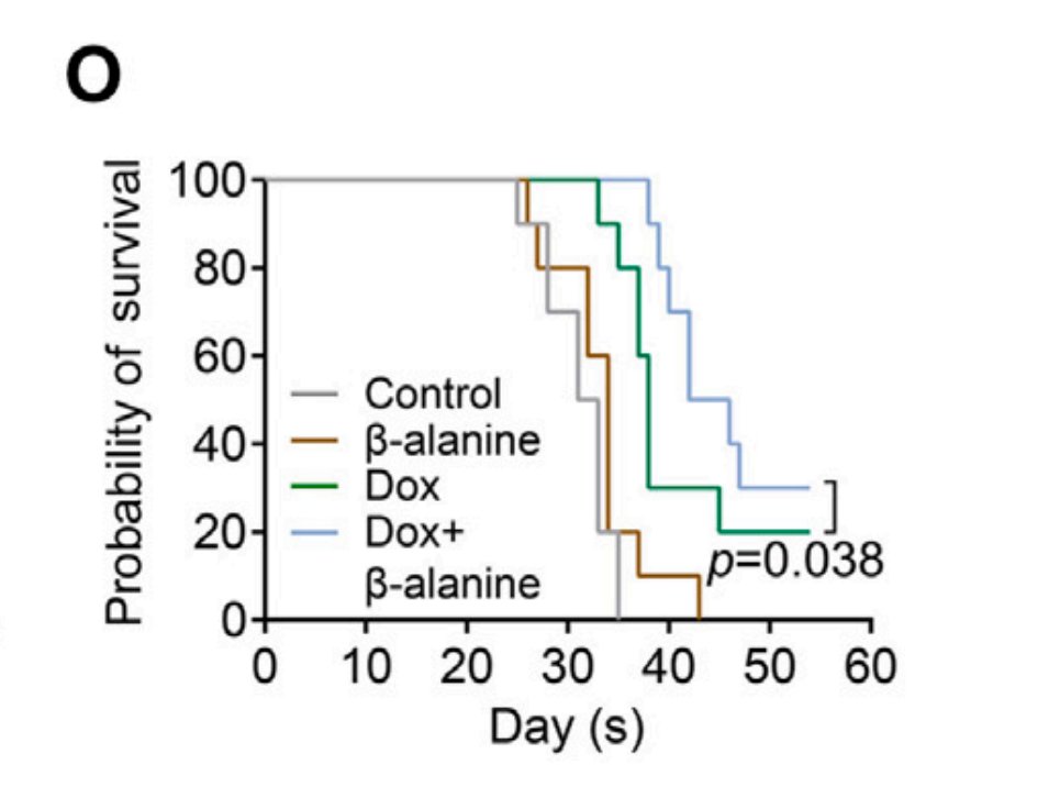 Cool new paper in Cell that ties together two fundamentals of cancer biology: cancer cells have high levels of lactate (due to the Warburg effect), and almost always find a way to inactivate the cell's best tumour suppressor, p53 Zong et al. found that lactate, from the…