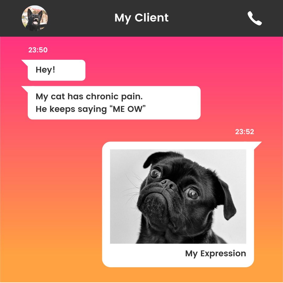 FcukFibro's tweet image. &quot;Chronic pain got some cheesy jokes! Finding humour in the struggle of living with chronic pain. 

😂💪 #ChronicPainHumor #PainWarrior #LaughThroughThePain #ChronicLife #SpoonieLaughs&quot;