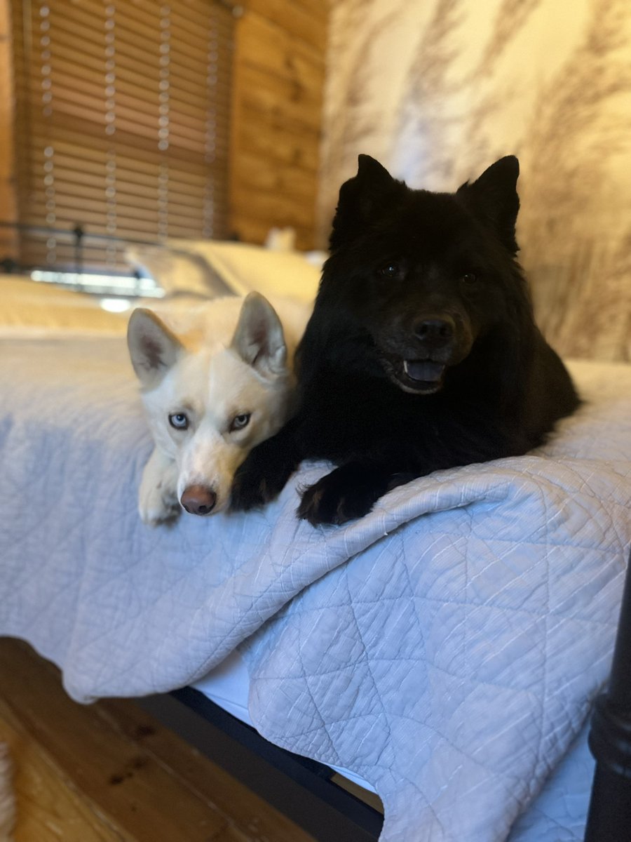 DA BBS! Happy Monday!! Hope everyone is well and we’ll be back real soon ❤️🥳