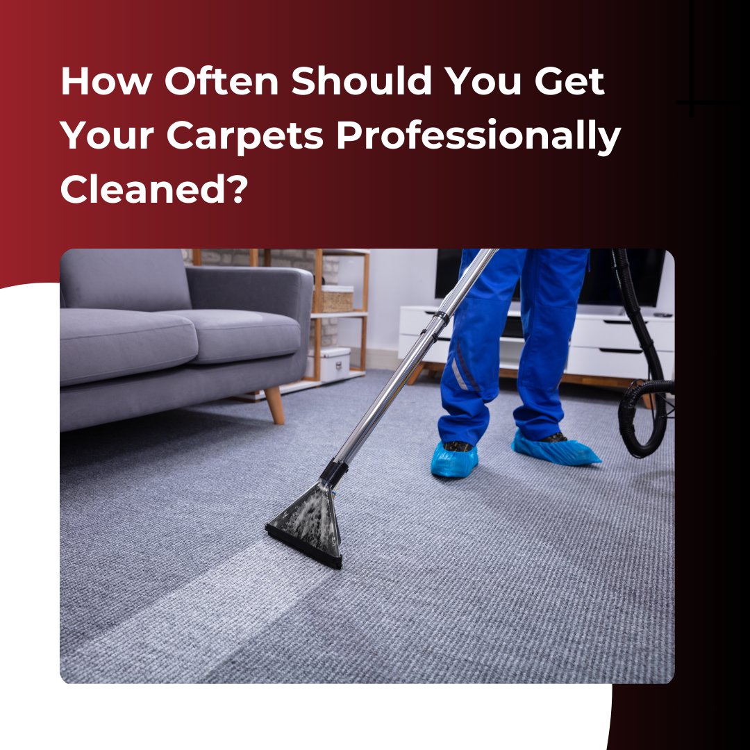 How Often Should You Get Your Carpets Professionally Cleaned? 

#vinylflooring #stoneflooring #flooring #carpet #woodflooring #vinyl #hardwood #floors #installation #rugs #hardwoodflooring #laminateflooring
