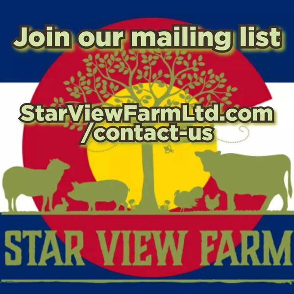 Only four #LambBundles remain available as of right now.
#LimitedSupply
Our #grassfed #Lamb bundles include; #LegOfLamb, #LambChops #GroundLamb #LambShank and #LambBones
#BestValue
These are pre-selling quickly, reserve yours today.
#OrderNow
StarViewFarmLtd.com