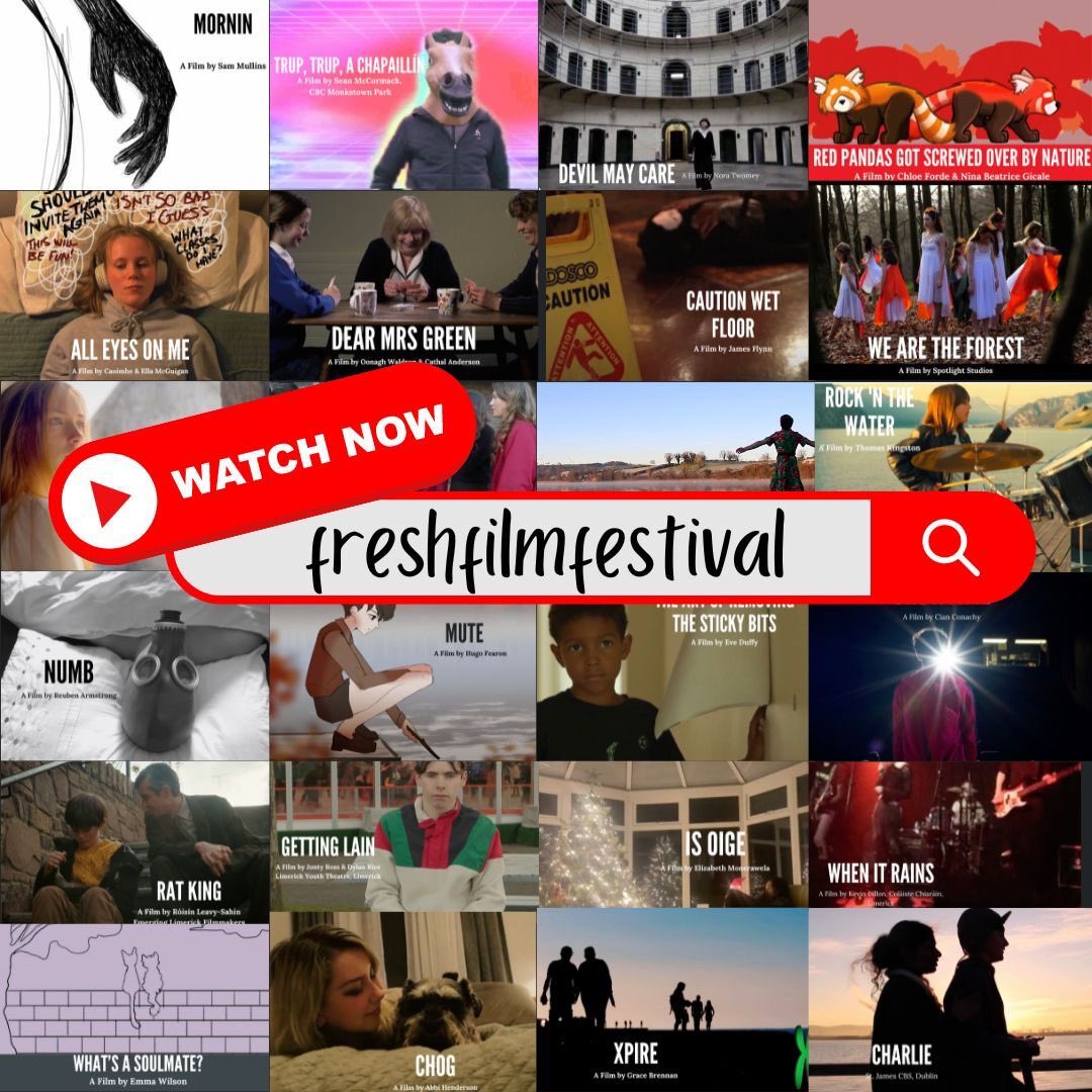 🍿 Catch all the nominated films for Ireland’s Young Filmmaker of the Year over on our Youtube channel 

#freshfilm #freshinternationalfilm #iyfty #youngfilm #film #competition #irishfilm #filmmaking