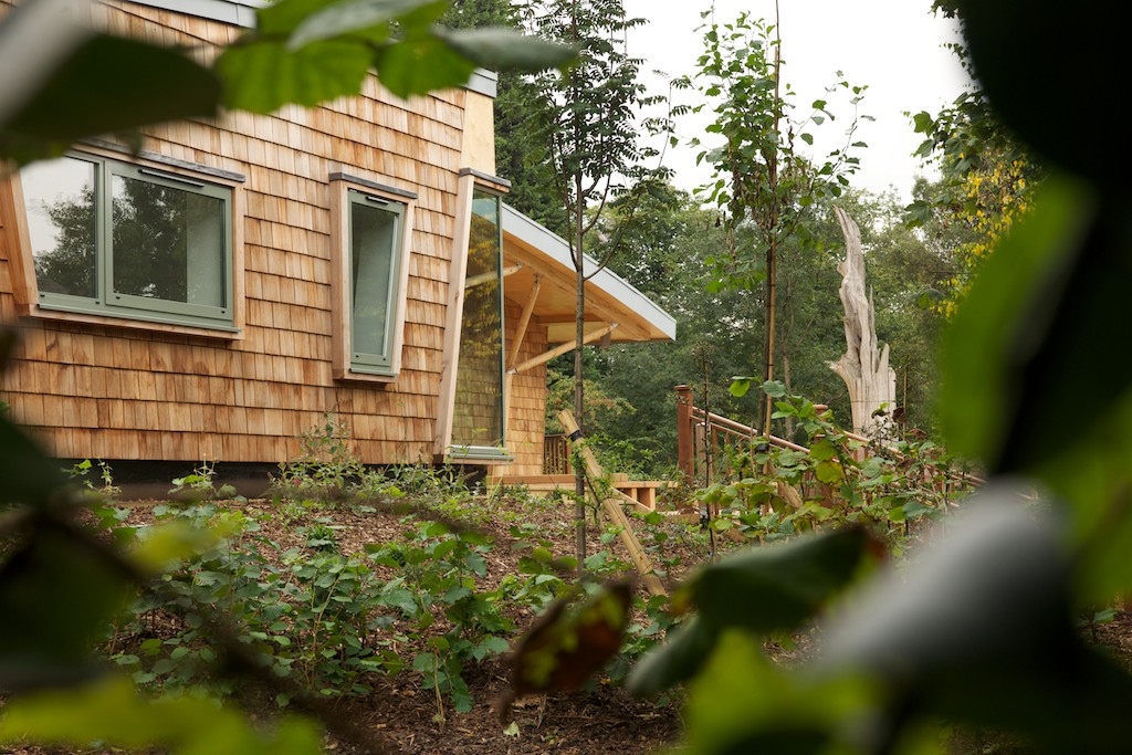 At David Morley Architects, every day is Earth Day. We design buildings to enhance lives through environmentally considered design. #EarthDay2024 #EarthDayEveryDay 

Photo: The Look Out, environmental and ecological education centre for The Royal Parks. Credit: Martin Hartley