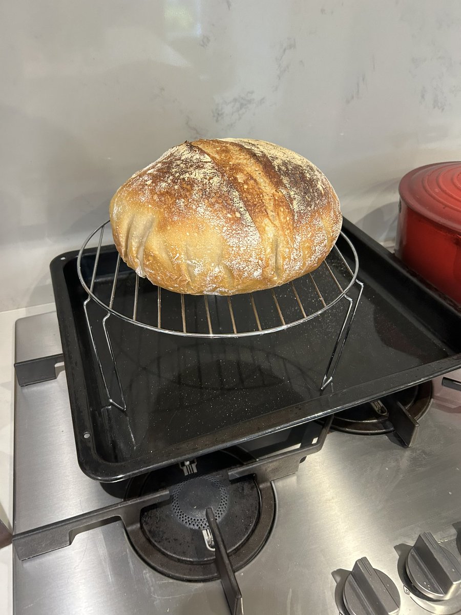Ok I am now officially a sourdough wanker 😝 #bread #baking #homemade