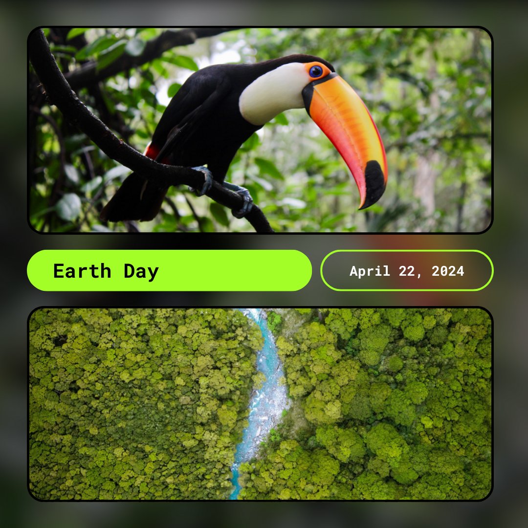 Arbimon (@arblmon) on Twitter photo 🌍 #EarthDay isn't just another date on the calendar—it's a reminder of our duty to protect the planet EVERY day. By bringing together the power of sound & #AI with our platform, we're making conservation action accessible & actionable for all. Join us in creating a better future 🌍 #EarthDay isn't just another date on the calendar—it's a reminder of our duty to protect the planet EVERY day. By bringing together the power of sound & #AI with our platform, we're making conservation action accessible & actionable for all. Join us in creating a better future