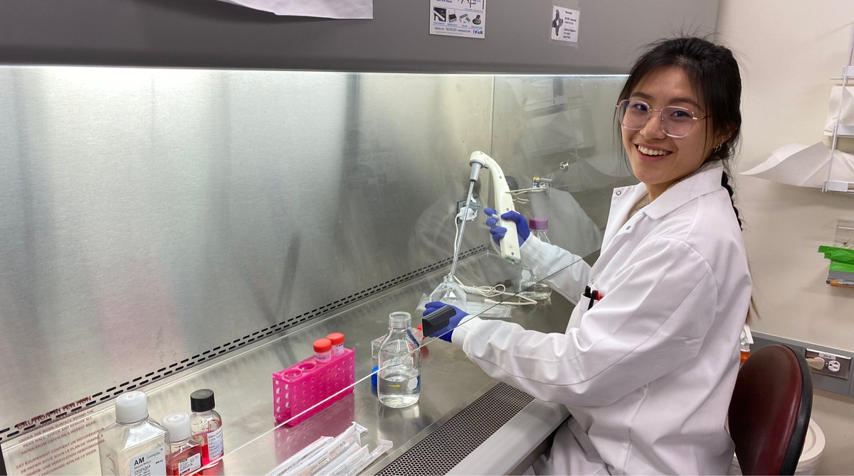 💡 Spotlight on the @lenjf lab latest: Lucy Chi reveals how male and female brain cells differ in viral defence, opening new paths for targeted medical treatments. Dive into the world of single-cell proteomics at: msl.ubc.ca/unveiling-the-… #ScienceNews #HealthInnovation