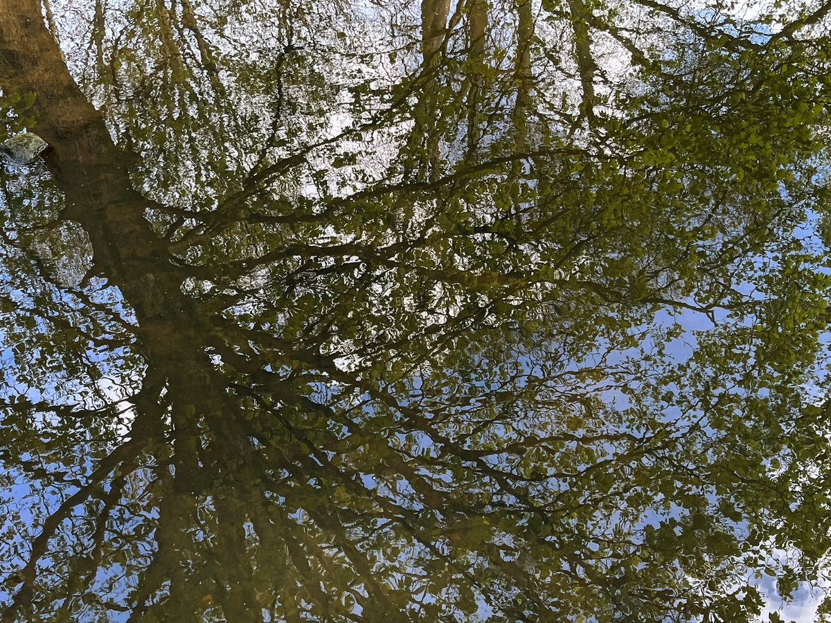 Meanwood Beck, Meanwood Park, Leeds: 4.38pm, 21st April 2024

#meanwood #meanwoodpark #meanwoodbeck #leeds #reflection #reflections #water #urbanphotography #urbanlandscape #iphonephotography #iphone13mini