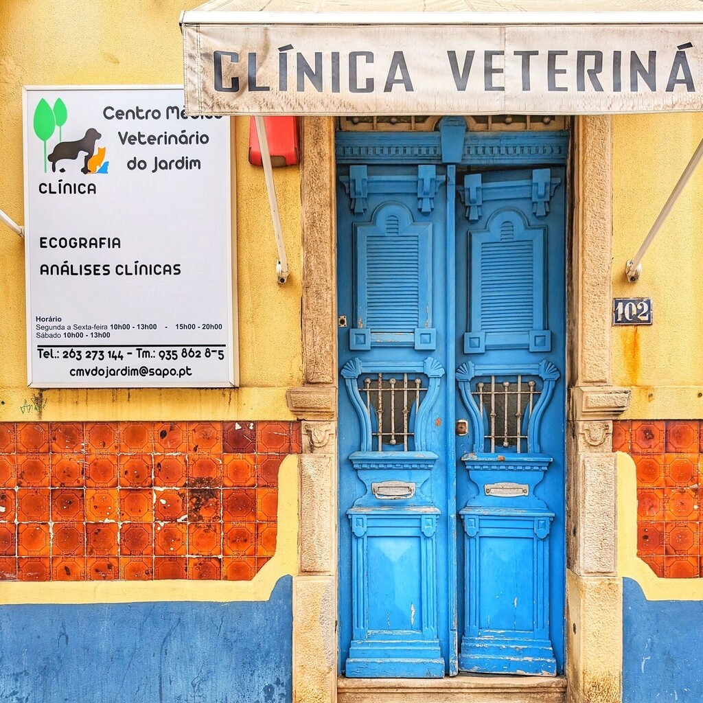 The Veterinary Clinic in Vila Franca de Xira. instagr.am/p/C6EoQrZSo5g/