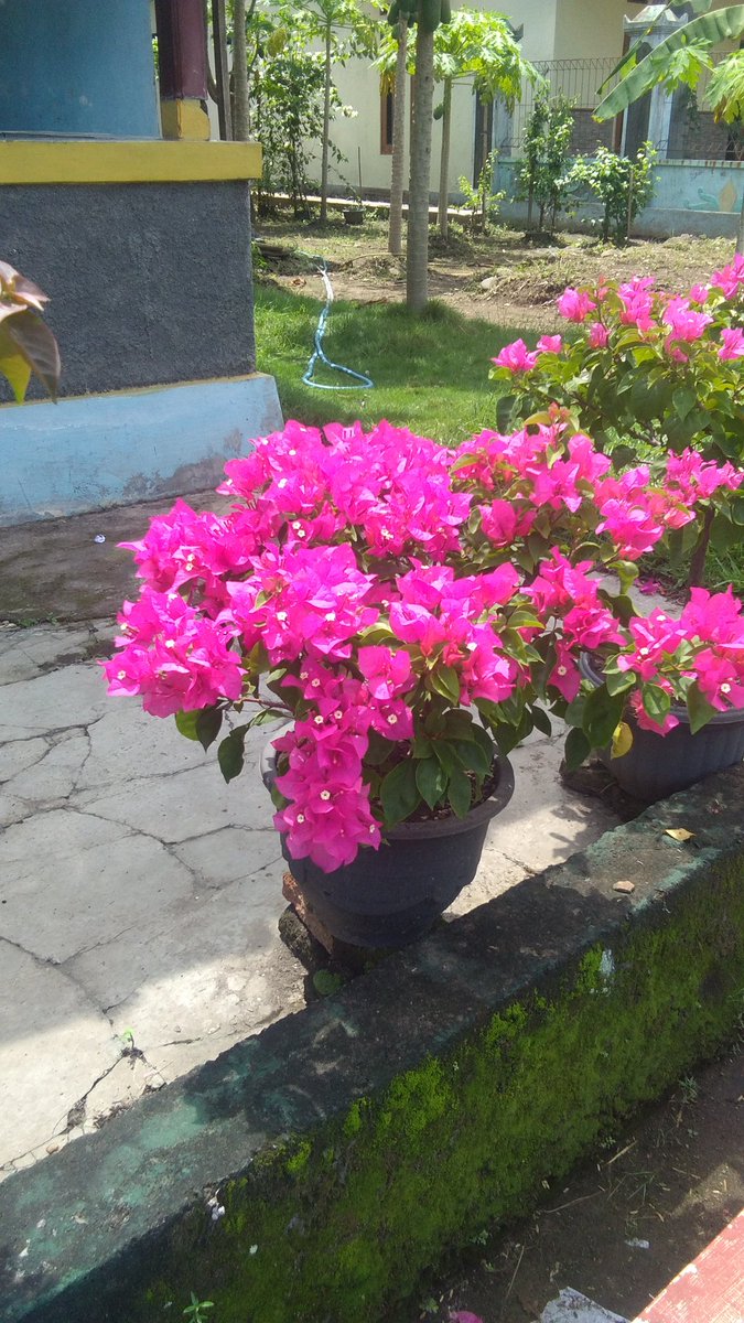 Creative_1984's tweet photo. @KkHimalaya https://t.co/pH3C6nM5jU