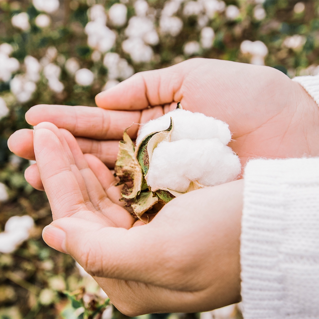 From conserving water to reducing waste, every action counts. This #EarthDay and every day, let's work together to protect and preserve our planet. 🌍🌱 #drycleaner #drycleaners #drycleaning #laundryservice #drycleaningservice #washandfold