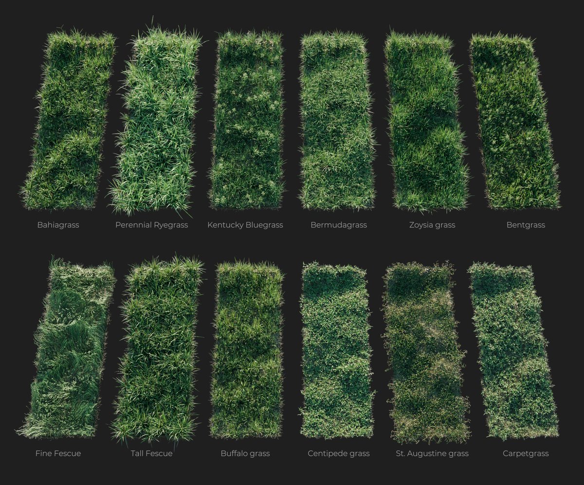 Next-gen Grass, is coming in 2 weeks...
#b3d #geometrynodes