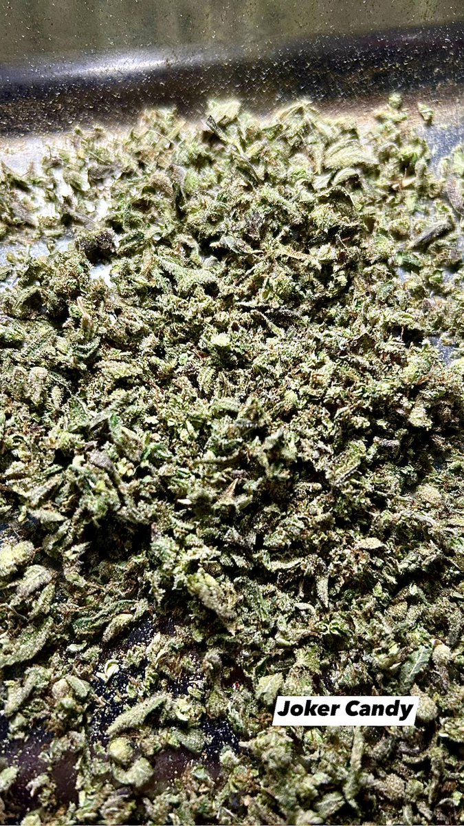 buzzthx999's tweet photo. จัดโปรใบทริม 100g = 2,xxx 💚

Contact 📌
Facebook: GBuzz Grower 
👉 Line https://t.co/bxDDc9lOIj

#bangkokweed #weedthailand #โหนกระเเส #กัญชาog #ขายกัญชา #กัญชาไฟฟ้า #กัญชารังสิต #กัญชารัชดา #กัญชาห้วยขวาง #กัญชาลาดพร้าว #กัญชาราคาส่ง #กัญชากทม #Pattaya #ลา��ูบู้ #HAPPYJENODAY https://t.co/0T1QZja55M