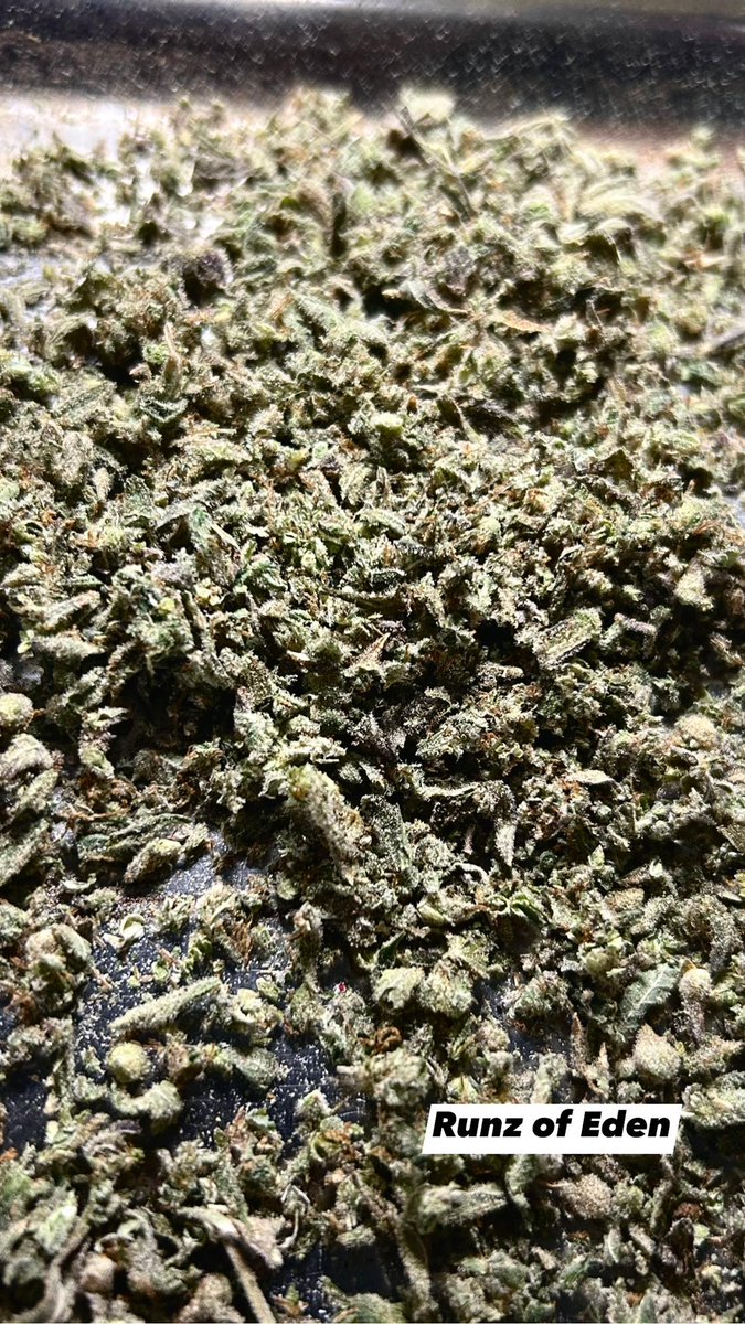 buzzthx999's tweet photo. จัดโปรใบทริม 100g = 2,xxx 💚

Contact 📌
Facebook: GBuzz Grower 
👉 Line https://t.co/bxDDc9lOIj

#bangkokweed #weedthailand #โหนกระเเส #กัญชาog #ขายกัญชา #กัญชาไฟฟ้า #กัญชารังสิต #กัญชารัชดา #กัญชาห้วยขวาง #กัญชาลาดพร้าว #กัญชาราคาส่ง #กัญชากทม #Pattaya #ลา��ูบู้ #HAPPYJENODAY https://t.co/0T1QZja55M