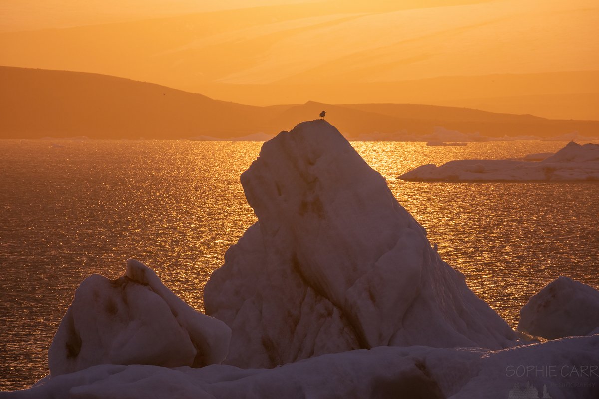 Happy #EarthDay and what an incredible planet we live on! Here are some icebergs at Jökulsárlón (beach and lagoon) in south-east #Iceland, taken on this day last year.