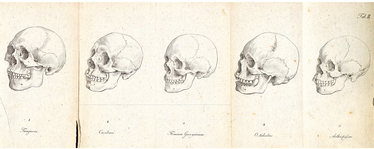 New blogpost today by @MalinWilckens of @IEG_Mainz on #Blumenbach and #skull collecting. #race #science: historyofknowledge.net/2024/04/22/tra…