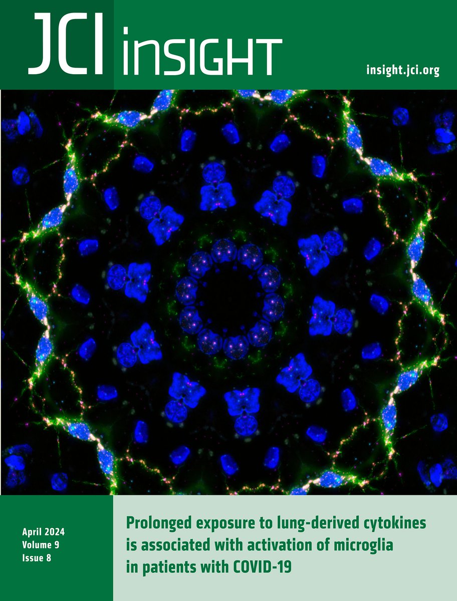 ASCI members G.R. Scott Budinger and Benjamin D. Singer on @JCI_insight's #Cover: Prolonged exposure to lung-derived cytokines is associated with activation of microglia in patients with #COVID_19: buff.ly/4cZwSmf
@bsinger007 @NorthwesternMed
#ClinicalMedicine #Immunology