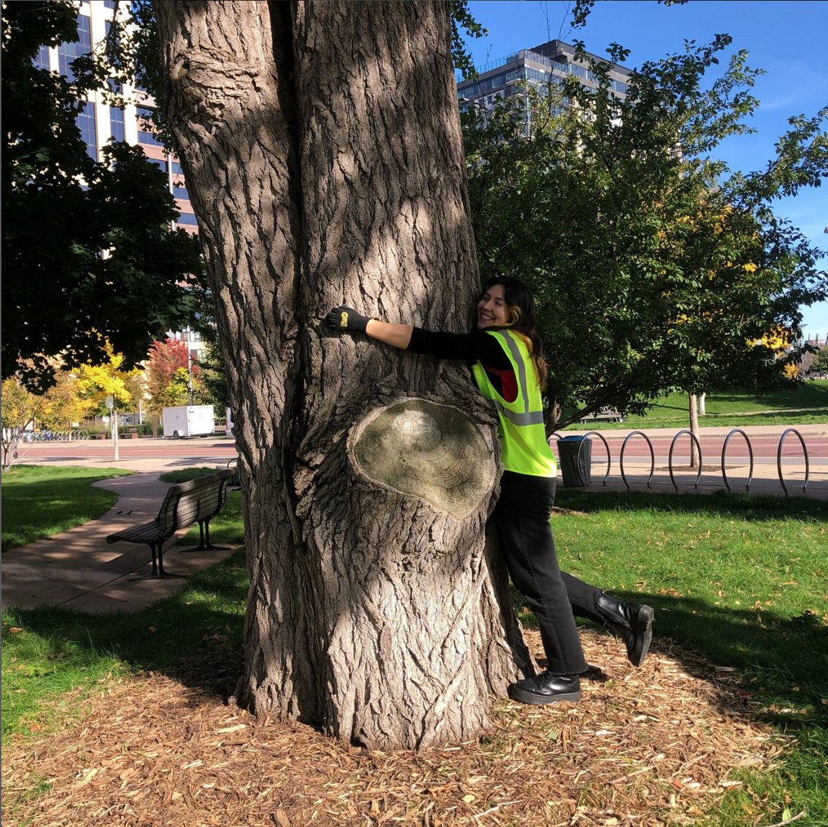 ServeMinnesota tweet media