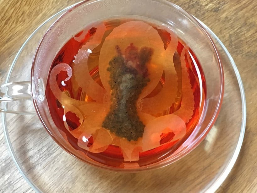 dearvotion's tweet photo. brewing these ocean creatures tea bags might fix it all https://t.co/J6PsRmSgG9