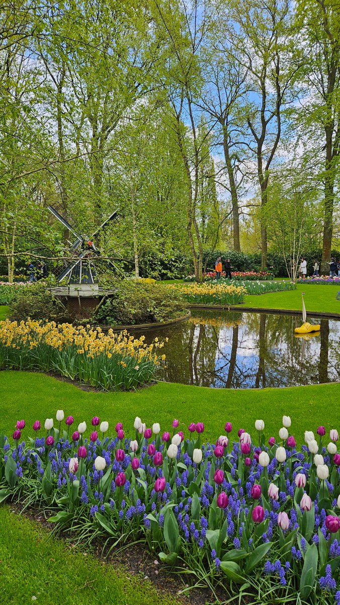 Personal post again but 🥹🩷 keukenhof is so pretty