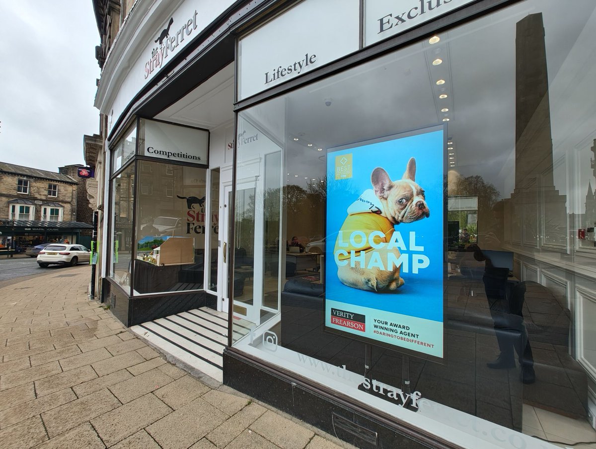 How cool does our ‘Local Champ’ look in the window of the new @theStrayFerret offices on Cambridge Crescent!?
-
-
#harrogate #estateagent #advertising #localchamp #theharrogateagent #topsellingagent #sellyourhome