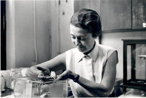 “It is imperfection — not perfection — that is the end result of the program written into that formidably complex engine that is the human brain.' Rita Levi-Montalcini ForMemRS and Nobel Prize winning neurobiologist, was born #OnThisDay in 1909. bit.ly/2oWWPMJ