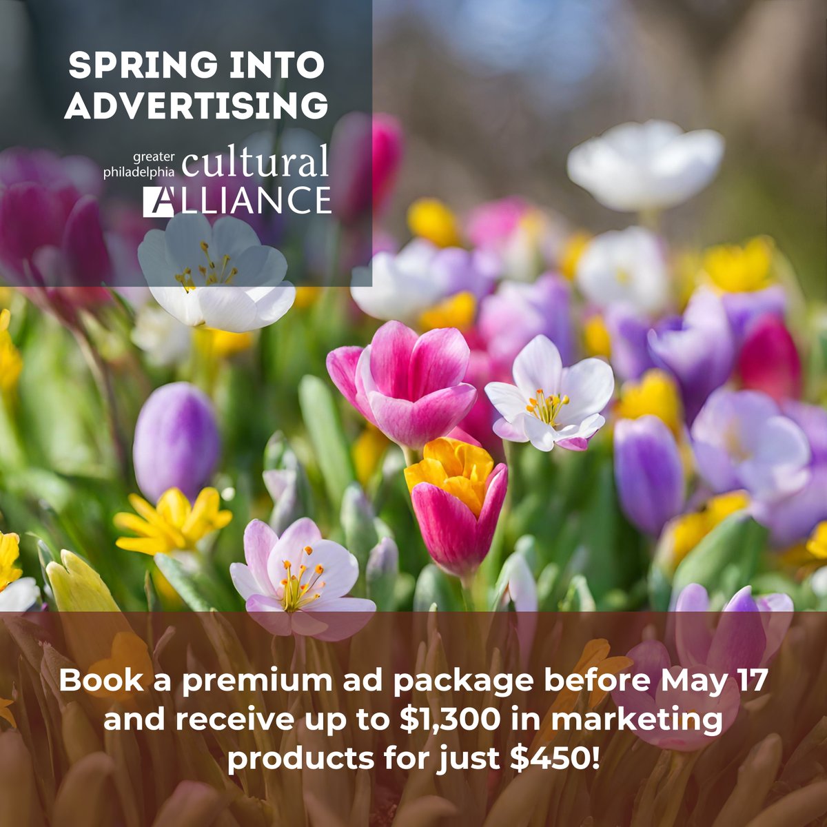 We just launched a special advertising promotion: Spring into Advertising! Book a premium ad package before May 17 and receive up to $1,300 in marketing products for just $450! Learn more at: philaculture.org/2024-spring-ad… or reach out directly to madelinea@philaculture.org