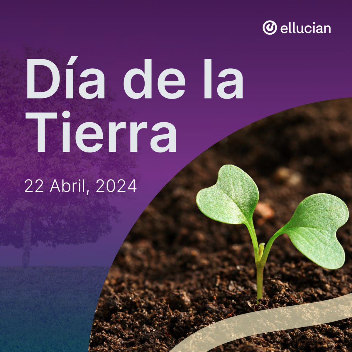 🌱 ¡Feliz #DíaDeLaTierra! 🌎 Desde el reciclaje de residuos de oficina hasta nuestro propio Grupo ERG organizando limpiezas de parques, en Ellucian nos comprometemos a tener un impacto positivo en nuestro planeta. #EarthDay #CompromisoAmbiental #reciclaje #ambiente