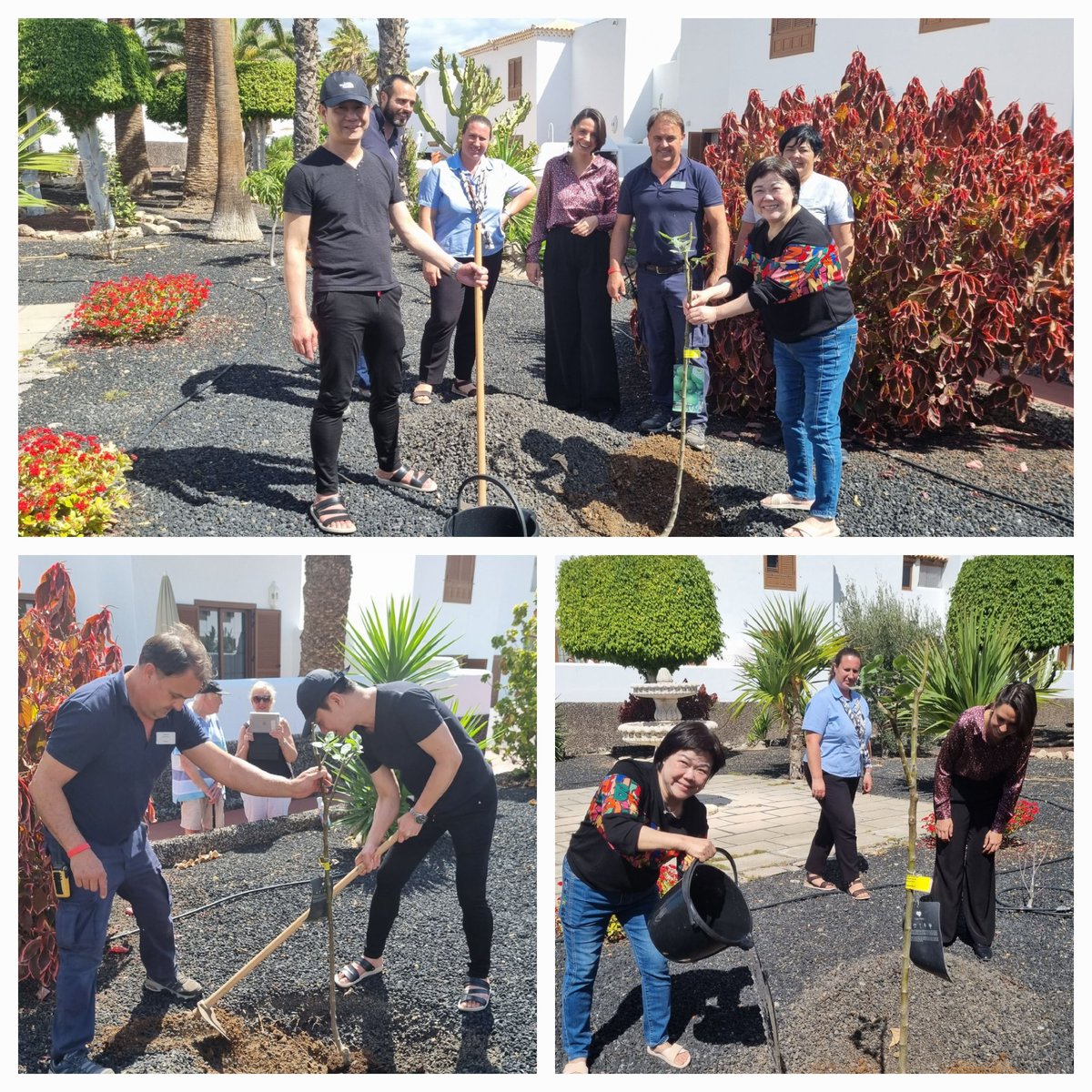 #EarthDay2024 at #RoyalTenerifeCountryClub &amp; #SunsetViewClub #PlantATree #GoGreen #Sustainability