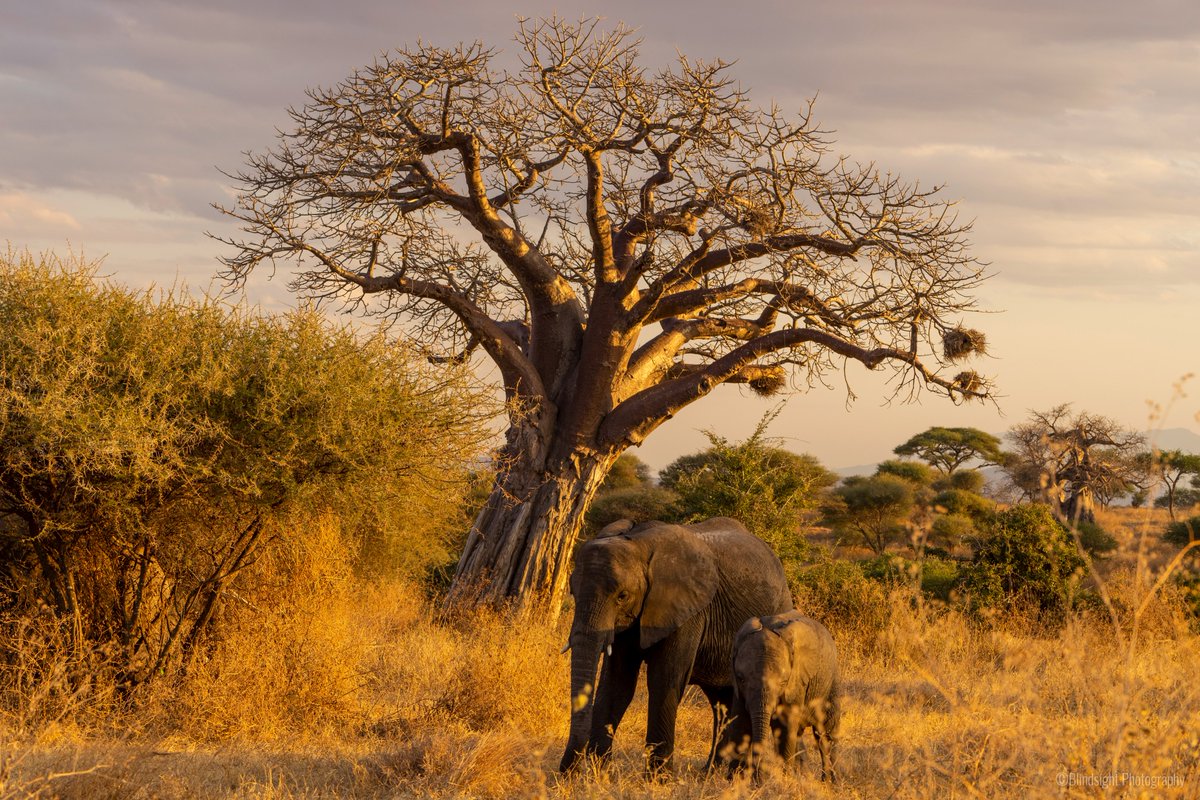 Happy #earthday! Took this in Kenya a few years ago.