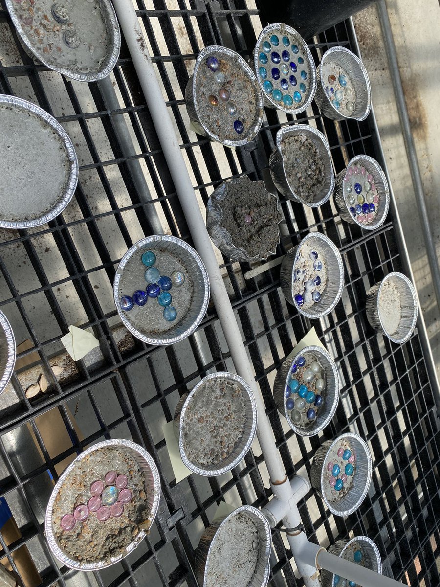 Principles of Ag students learned about concrete and make mini paver stones!