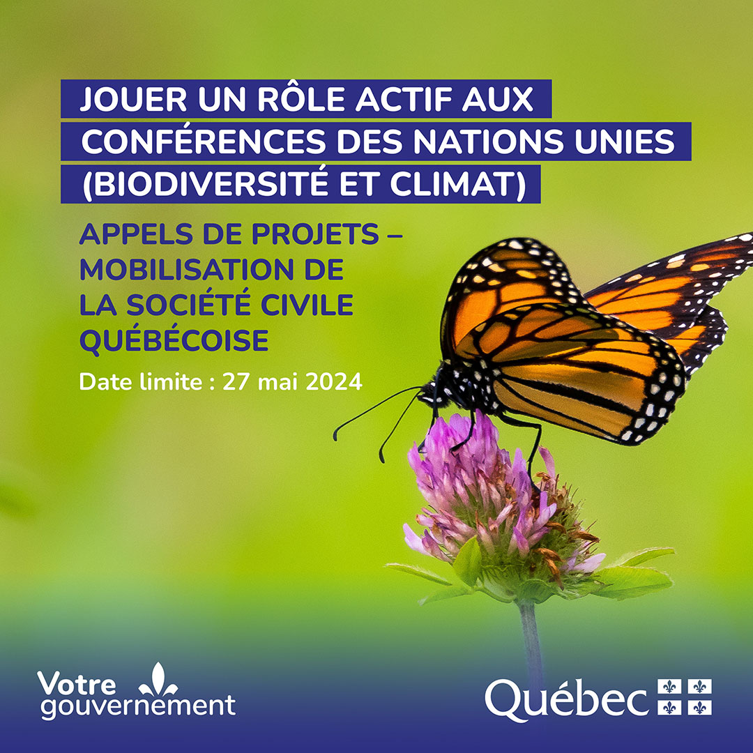 🌍📢 Participez aux événements mondiaux pour l'environnement ! Deux appels de projets sont ouverts pour la Conférence de Cali sur la biodiversité et la Conférence sur le climat à Bakou. Date limite : 27 mai 2024. Plus d'infos 👉quebec.ca/nouvelles/actu… #Environnement #ONU