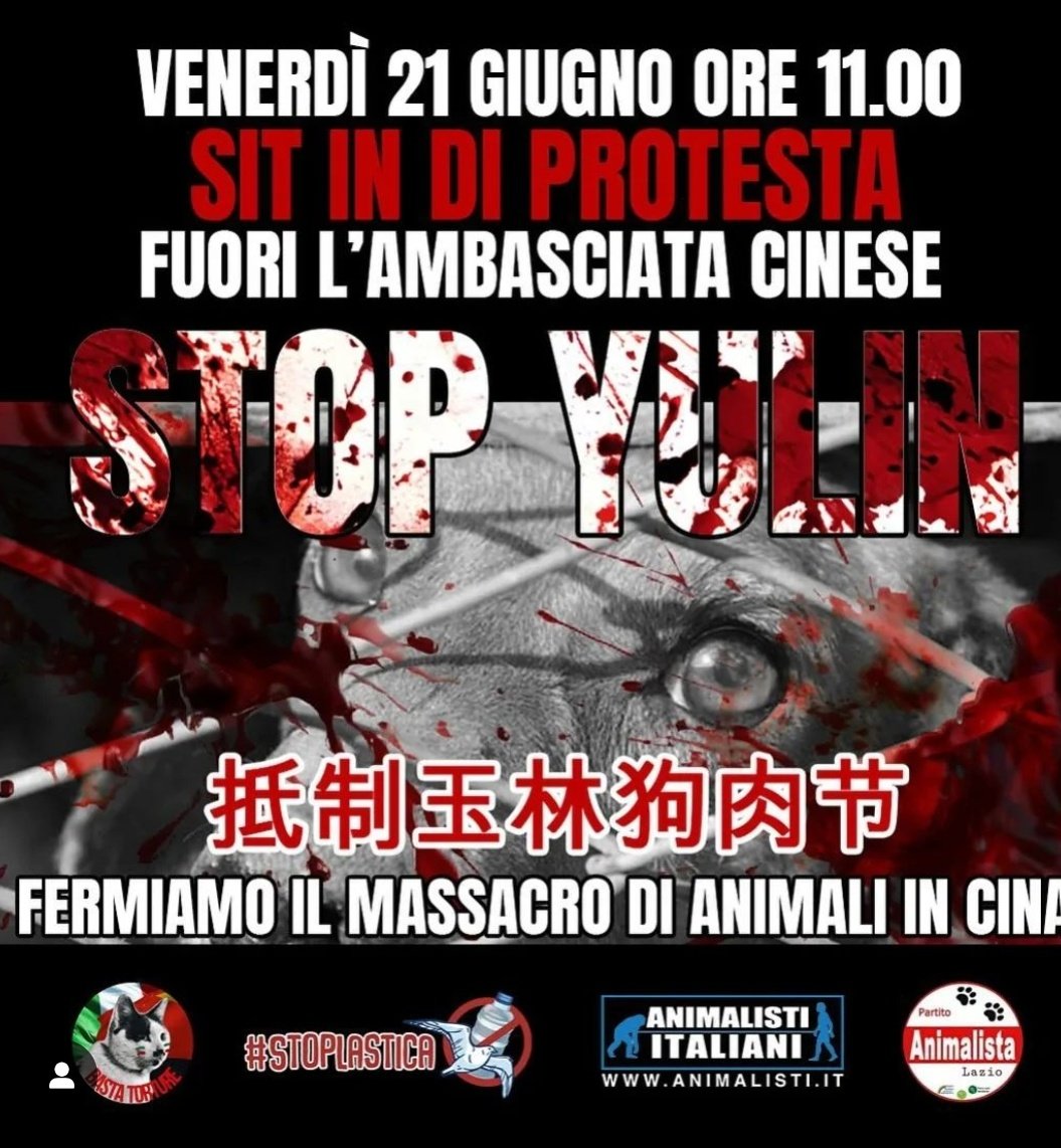 ‼️ UPDATE ‼️ #Italy joins @felineguardians protests to give voice to the fight against cruelty and animal abuse in China. We demand @AmbCina to use their voice to urge the Chinese government to enact animal protection laws.#StopChinaCatTorture 21 June 11:00 hrs