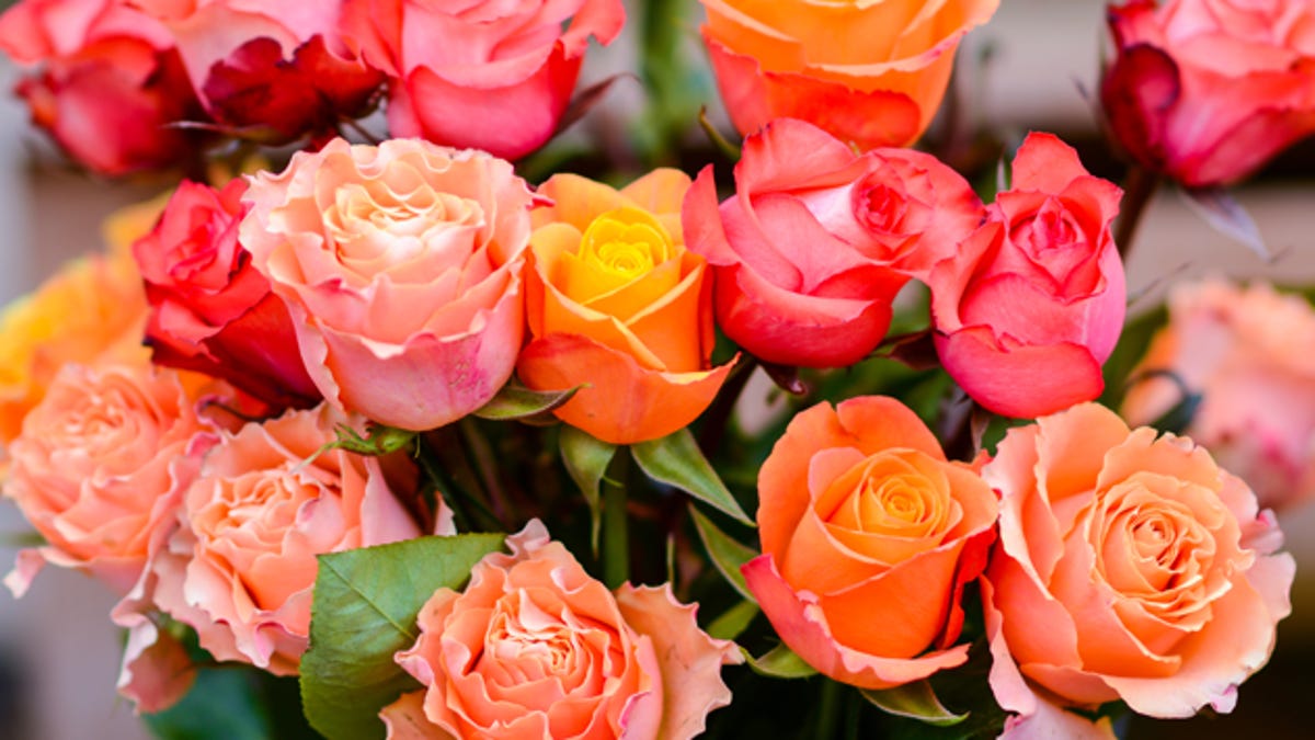 Order Mom 24 Long-Stem Roses for Just $25 While This Deal Lasts - CNET dlvr.it/T5sDyf